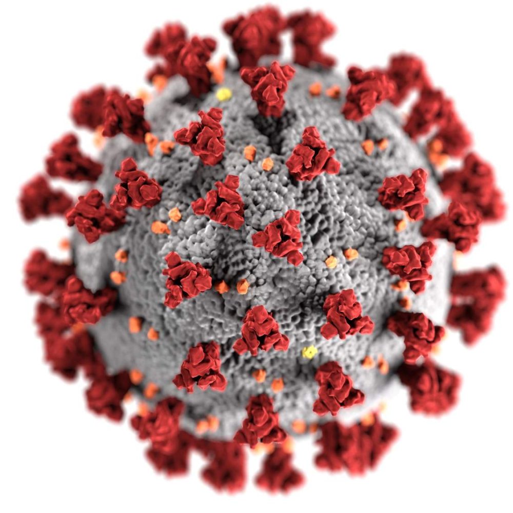 novelcoronavirus-optimized